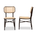 Baxton Studio Katina Mid-Century Modern Dark Brown Finished Metal and Synthetic Rattan 2-Piece Outdoor Dining Chair Set - WA-33004-Natural/Dark Brown-DC