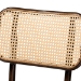 Baxton Studio Katina Mid-Century Modern Dark Brown Finished Metal and Synthetic Rattan 2-Piece Outdoor Dining Chair Set - WA-33004-Natural/Dark Brown-DC