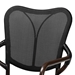 Baxton Studio Erling Mid-Century Modern Black and Dark Brown Finished Metal 2-Piece Outdoor Dining Chair Set - WA-53002-Black/Brown-DC