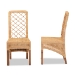 bali & pari Moscow Modern Bohemian Natural Brown Rattan and Walnut Brown Mahogany Wood 2-Piece Dining Chair Set - Moscow-Teak-DC