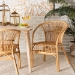 bali & pari Murai Modern Bohemian Natural Brown Rattan Dining Chair - Murai-Rattan-DC
