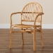 bali & pari Tugera Modern Bohemian Natural Brown Rattan Dining Chair - Tugera-Rattan-DC