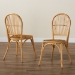 bali & pari Wina Modern Bohemian Natural Brown Rattan 2-Piece Dining Chair Set - Wina-Rattan-DC