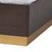 Baxton Studio Arcelia Contemporary Glam and Luxe Two-Tone Dark Brown and Gold Finished Wood Queen Size 4-Piece Bedroom Set - SEBED13032026-Modi Wenge/Gold-Queen-4PC N/D Set