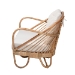 bali & pari Aliane Modern Bohemian Natural Brown Antique Rattan Loveseat - DC8041-Rattan-LS