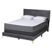 Baxton Studio Abberton Modern and Contemporary Grey Velvet and Gold Metal Queen Size Panel Bed