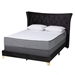 Baxton Studio Easton Contemporary Glam and Luxe Black Velvet and Gold Metal Queen Size Panel Bed