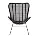 bali & pari Colorado Modern Bohemian Black Rattan and Metal Accent Chair - Colorado-Black/Rattan-CC