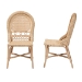 bali & pari Jelita Modern Bohemian Natural Brown Rattan 2-Piece Dining Chair Set - Jelita-Rattan-DC