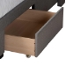 Baxton Studio Braylon Mid-Century Modern Transitional Light Grey Fabric and Dark Brown Finished Wood Queen Size 3-Drawer Storage Platform Bed - CF 9270-A-Coronado-A-Grey-Queen