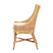bali & pari Bella Modern Bohemian Natural Brown Rattan Dining Chair - Bella-Rattan-DC