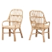 Baxton Studio Sumatera Modern Bohemian Natural Brown Rattan 2-Piece Dining Chair Set