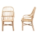 bali & pari Sumatera Modern Bohemian Natural Brown Rattan 2-Piece Dining Chair Set - Sumatera-Rattan-DC