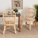 bali & pari Sumatera Modern Bohemian Natural Brown Rattan 2-Piece Dining Chair Set - Sumatera-Rattan-DC