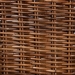 bali & pari Mario Modern Bohemian Natural Brown Finished Teak Wood and Rattan 2-Piece Dining Chair Set - Mario-Rattan-DC