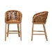 bali & pari Mario Modern Bohemian Natural Brown Finished Teak Wood and Rattan 2-Piece Counter Stool Set - Mario-Rattan-BS