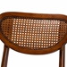 Baxton Studio Hesper Mid-Century Modern Walnut Brown Finished Wood and Rattan 2-Piece Dining Chair Set - RH253C-Walnut Rattan/Walnut Bent Seat-DC-2PK