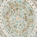 Baxton Studio Quintus Modern Bohemian Multicolor Mother of Pearl and Gold Metal Storage Cabinet - F232-FT53-Cabinet