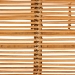 bali & pari Genet Modern Bohemian Natural Brown Rattan and Teak Wood 2-Tier Kitchen Cart - DCWH10014-Rous-Natural Rattan-Cart