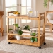 bali & pari Genet Modern Bohemian Natural Brown Rattan and Teak Wood 2-Tier Kitchen Cart - DCWH10014-Rous-Natural Rattan-Cart
