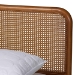 Baxton Studio Rosita Mid-Century Modern Transitional Light Grey Velvet Fabric and Walnut Brown Finished Wood Queen Size Platform Bed - BBT61162-Rattan-Queen