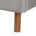 Baxton Studio Rosita Mid-Century Modern Transitional Light Grey Velvet Fabric and Walnut Brown Finished Wood Queen Size Platform Bed - BBT61162-Rattan-Queen