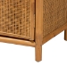 bali & pari Paloma Modern Bohemian Light Honey Rattan Large Storage Cabinet - Puerterico-Light Honey Rattan-Large-Cabinet