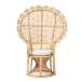 bali & pari Hecate Modern Bohemian Natural Brown Rattan Peacock Chair - WS043-Natural Rattan-CC