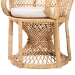 bali & pari Hecate Modern Bohemian Natural Brown Rattan Peacock Chair - WS043-Natural Rattan-CC