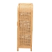 bali & pari Curacao Modern Bohemian Light Honey Rattan 2-Door Storage Cabinet - Curacao-Light Honey Rattan-Medium-Cabinet