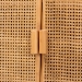 bali & pari Curacao Modern Bohemian Light Honey Rattan 2-Door Storage Cabinet - Curacao-Light Honey Rattan-Medium-Cabinet