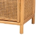 bali & pari Curacao Modern Bohemian Light Honey Rattan 2-Door Storage Cabinet - Curacao-Light Honey Rattan-Medium-Cabinet