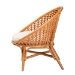 bali & pari Aerin Modern Bohemian Natural Rattan Accent Chair - Aerin-Light Honey Rattan-CC