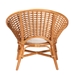 bali & pari Aerin Modern Bohemian Natural Rattan Accent Chair - Aerin-Light Honey Rattan-CC