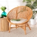 bali & pari Aerin Modern Bohemian Natural Rattan Accent Chair - Aerin-Light Honey Rattan-CC