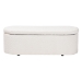 Baxton Studio Lavina Modern White Teddy-Bear Fabric Storage Bench - BBT3212.11 A2-White-Bench