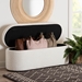 Baxton Studio Lavina Modern White Teddy-Bear Fabric Storage Bench - BBT3212.11 A2-White-Bench