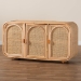 bali & pari Evania Bohemian Natural Rattan 3-Door Storage Cabinet - WS061-B-Natural Rattan-Cabinet