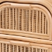 bali & pari Adrika Bohemian Natural Rattan 2-Drawer Nightstand - WS051-Natural Rattan-NS