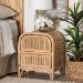 bali & pari Adrika Bohemian Natural Rattan 2-Drawer Nightstand - WS051-Natural Rattan-NS
