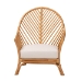 bali & pari Lisabon Bohemian Light Honey Rattan Arm Chair - LISABON-Light Honey Rattan-CC