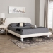 Baxton Studio Eladio Modern Luxe Ivory Boucle Fabric Queen Size Bed - BBT61186.11-White-Queen