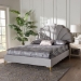 Baxton Studio Acosta Glam and Luxe Light Grey Velvet Seashell-Headboard Queen Size Platform Bed - CF9434-Light Grey-Queen