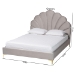Baxton Studio Acosta Glam and Luxe Light Grey Velvet Seashell-Headboard Queen Size Platform Bed - CF9434-Light Grey-Queen