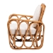 bali & pari Tiramisu Bohemian Light Honey Rattan Arm Chair - Tiramisu-Light Honey Rattan-AC