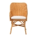 bali & pari Celsie Bohemian Light Honey Rattan Dining Chair - Celsie-Light Honey Rattan Cushioned-DC