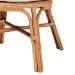 bali & pari Daniela Bohemian Light Honey Rattan Dining Chair - Daniela-Light Honey Rattan Cushioned-DC