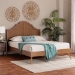 Baxton Studio Alecia Mid-Century Ash Walnut Wood Queen Size Platform Bed - MG9780-1/9704-Queen