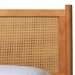 Baxton Studio Jenn Golden Brown Wood Japandi Queen Size Platform Bed with Distressed-Finished Rattan - MG0224-1-5703R Rattan/NTOak1203-Queen