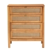 Baxton Studio Jenn Golden Brown Wood Japandi 4-Drawer Chest with Distressed-Finished Rattan - MG9006-5703R Rattan/NTOak1203-4D-Chest